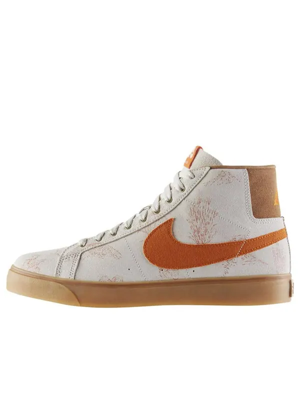 Кроссовки zoom blazer sb skateboard canvas tan Nike — изображение 1 из 4