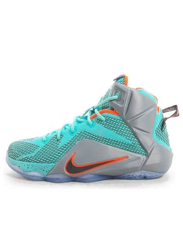 Кроссовки леброн 12 Nike — изображение 1 из 4, светлый синий/серый
