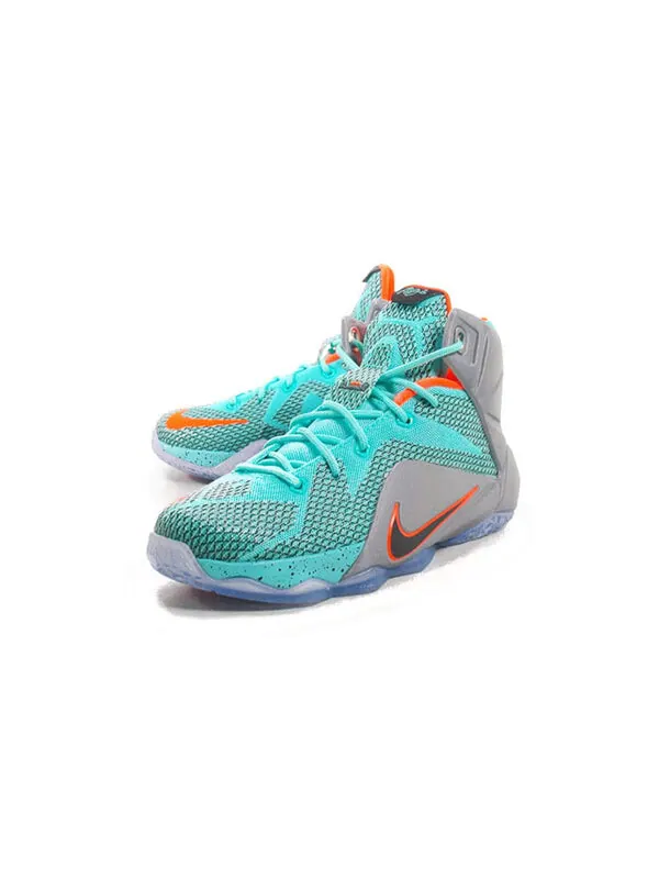 Кроссовки леброн 12 Nike — изображение 2 из 4, светлый синий/серый