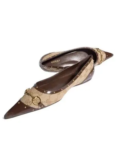 Женские балетки с закрытым мысом и шнуровкой Sand Dark Brown Gucci — изображение 4 из 6, мульти