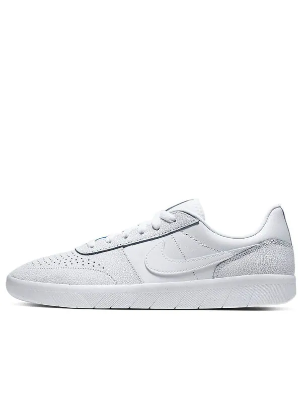 Кроссовки sb skateboard team classic premium Nike — изображение 1 из 4, белый