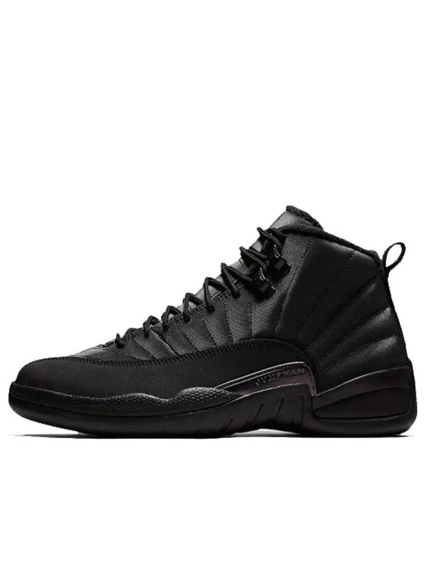Кроссовки Air Jordan 12 Retro Winterized — изображение 1 из 4, черный