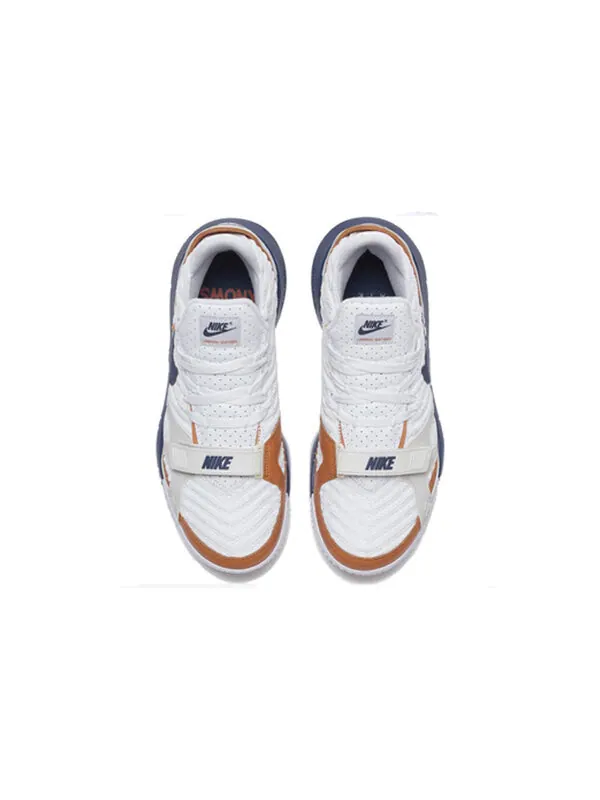 Кроссовки леброн 16 Nike — изображение 3 из 4, белый/коричневый/синий