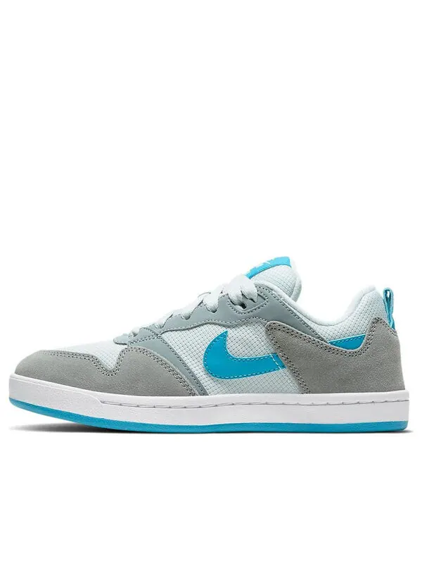 Кроссовки alleyoop sb Nike — изображение 1 из 4, серый