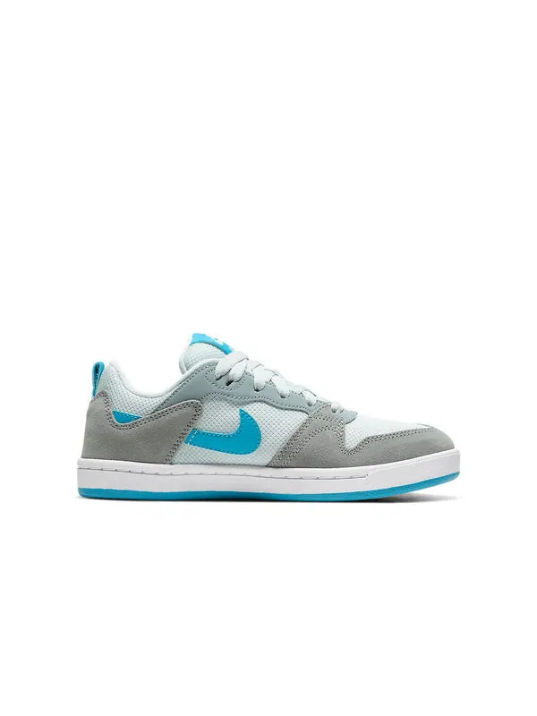 Кроссовки alleyoop sb Nike — изображение 2 из 4, серый