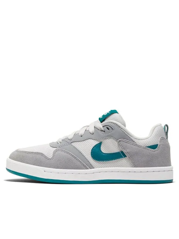 Кроссовки sb alleyoop Nike — изображение 1 из 4, серый