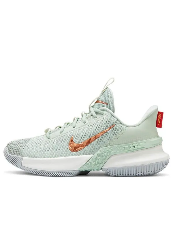 Кроссовки Nike LeBron Ambassador 13 'Empire Jade' — изображение 1 из 4, металлик/черный