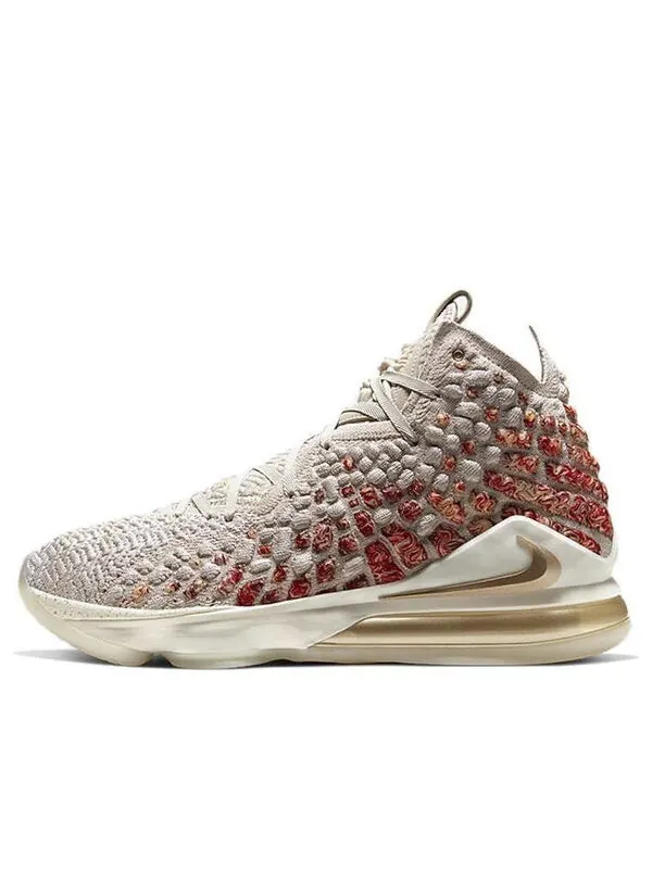 Кроссовки lebron 17 prm ep 'win/win' Nike — изображение 1 из 4, мульти