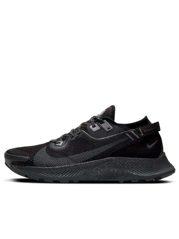 Кроссовки пегас трейл 2 gtx Nike — изображение 1 из 4, черный