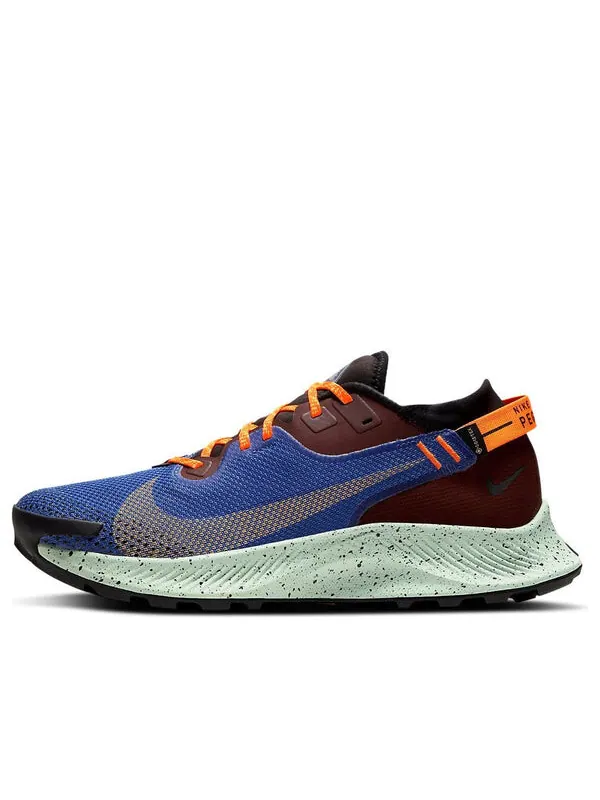 Кроссовки пегас трейл 2 gtx Nike — изображение 1 из 4, синий/коричневый