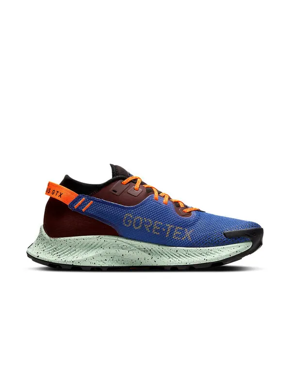 Кроссовки пегас трейл 2 gtx Nike — изображение 2 из 4, синий/коричневый