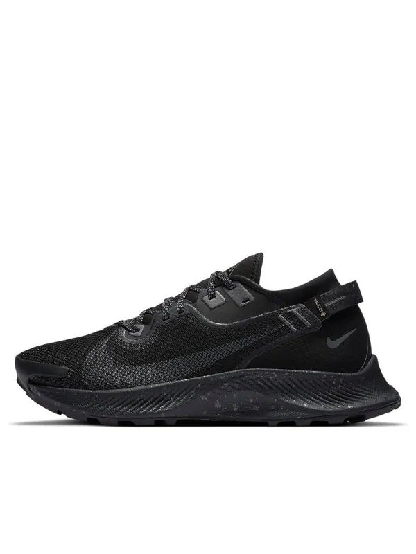Кроссовки pegasus trail 2 gore tex Nike — изображение 1 из 4, черный