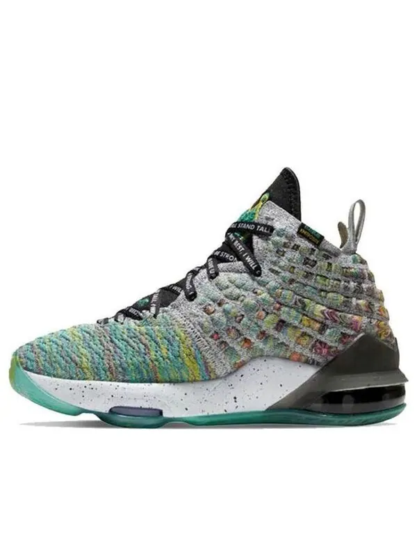 Кроссовки lebron 17 ljff 'i promise' Nike — изображение 1 из 4, зеленый/черный
