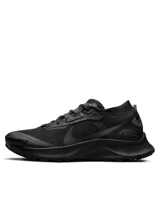 Кроссовки пегас трейл 3 gtx Nike — изображение 1 из 4