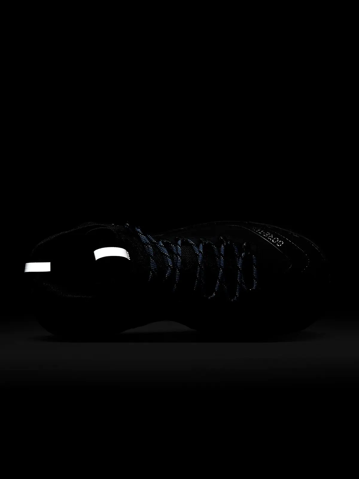 Кроссовки Nike ACG Air Zoom Gaiadome GTX — изображение 11 из 11, черный