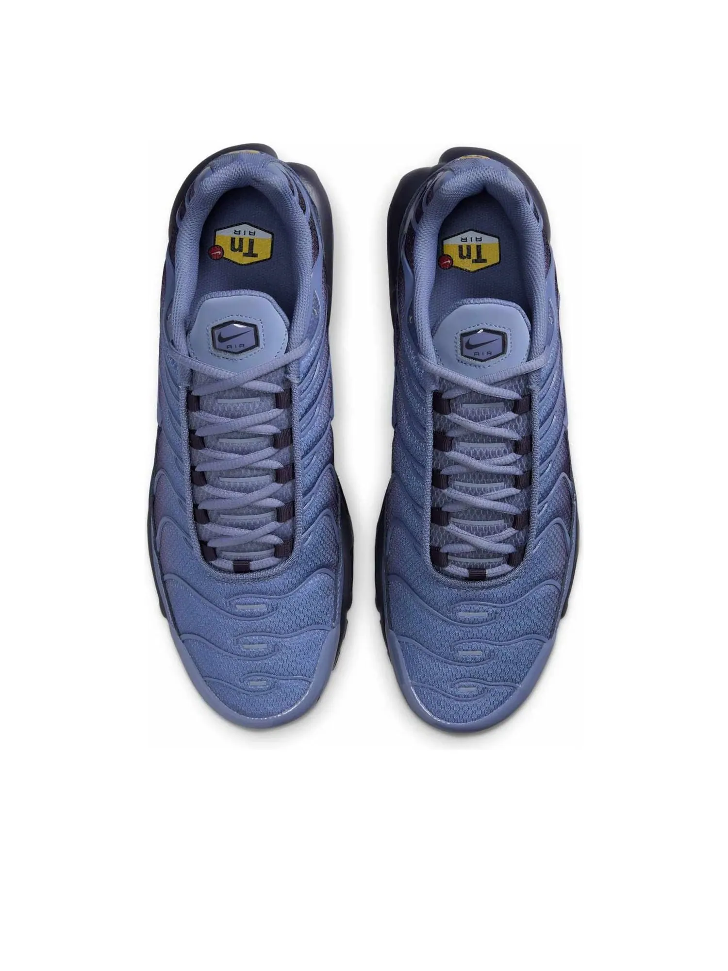 Кроссовки Nike Air Max Plus 'World Indigo' — изображение 2 из 6