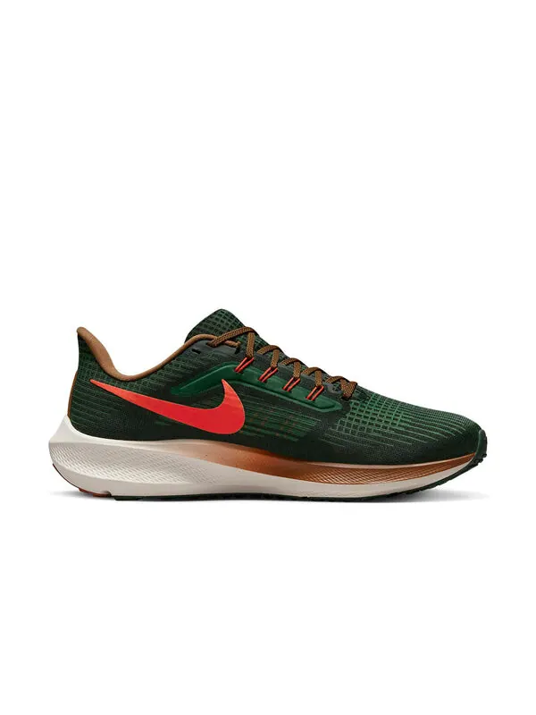 Кроссовки hola lou x air zoom pegasus 39 Nike — изображение 2 из 4, зеленый/коричневый