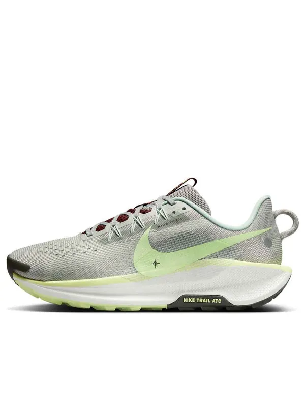 Кроссовки pegasus trail 5 Nike — изображение 1 из 4, серебряный