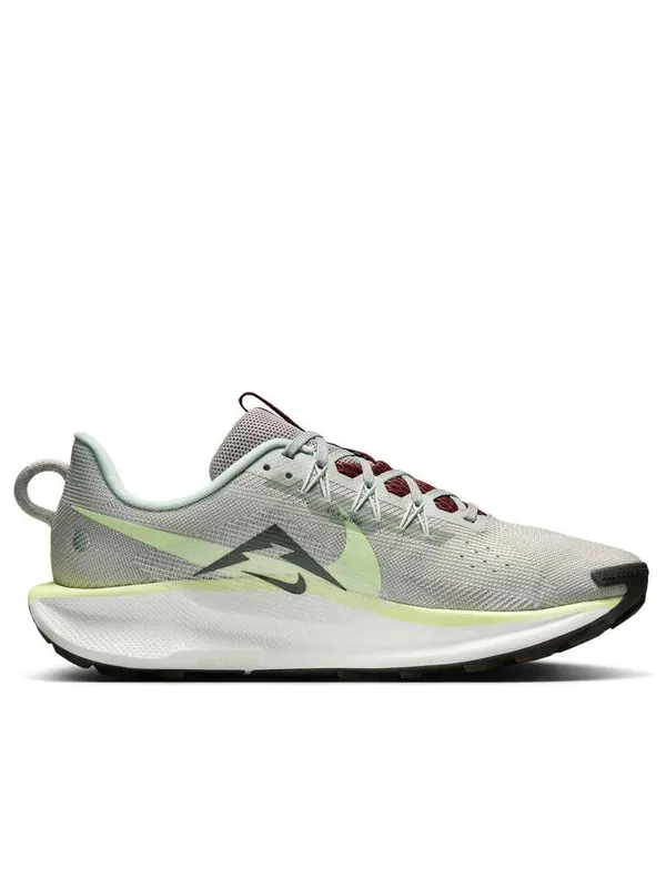 Кроссовки pegasus trail 5 Nike — изображение 2 из 4, серебряный