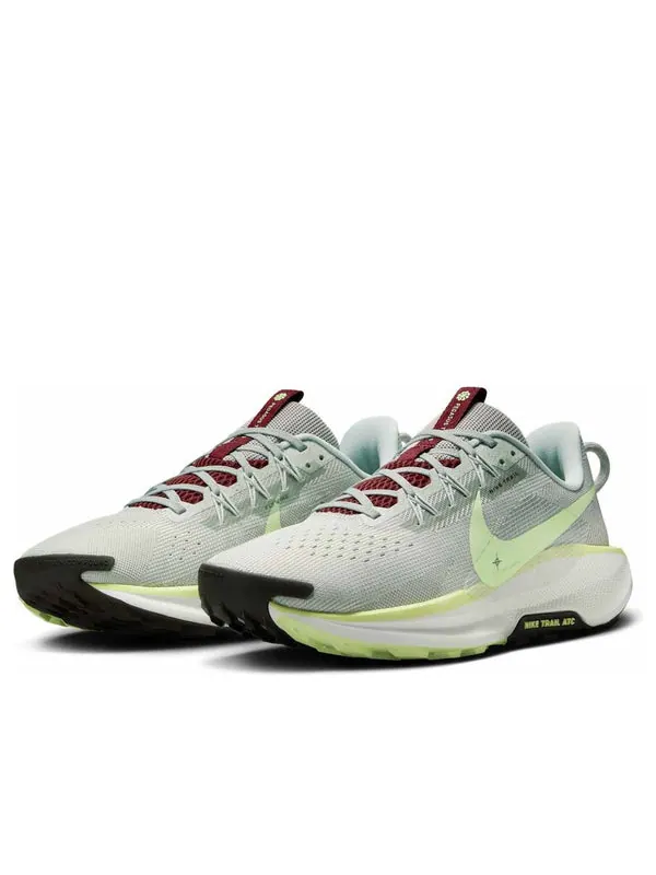 Кроссовки pegasus trail 5 Nike — изображение 3 из 4, серебряный