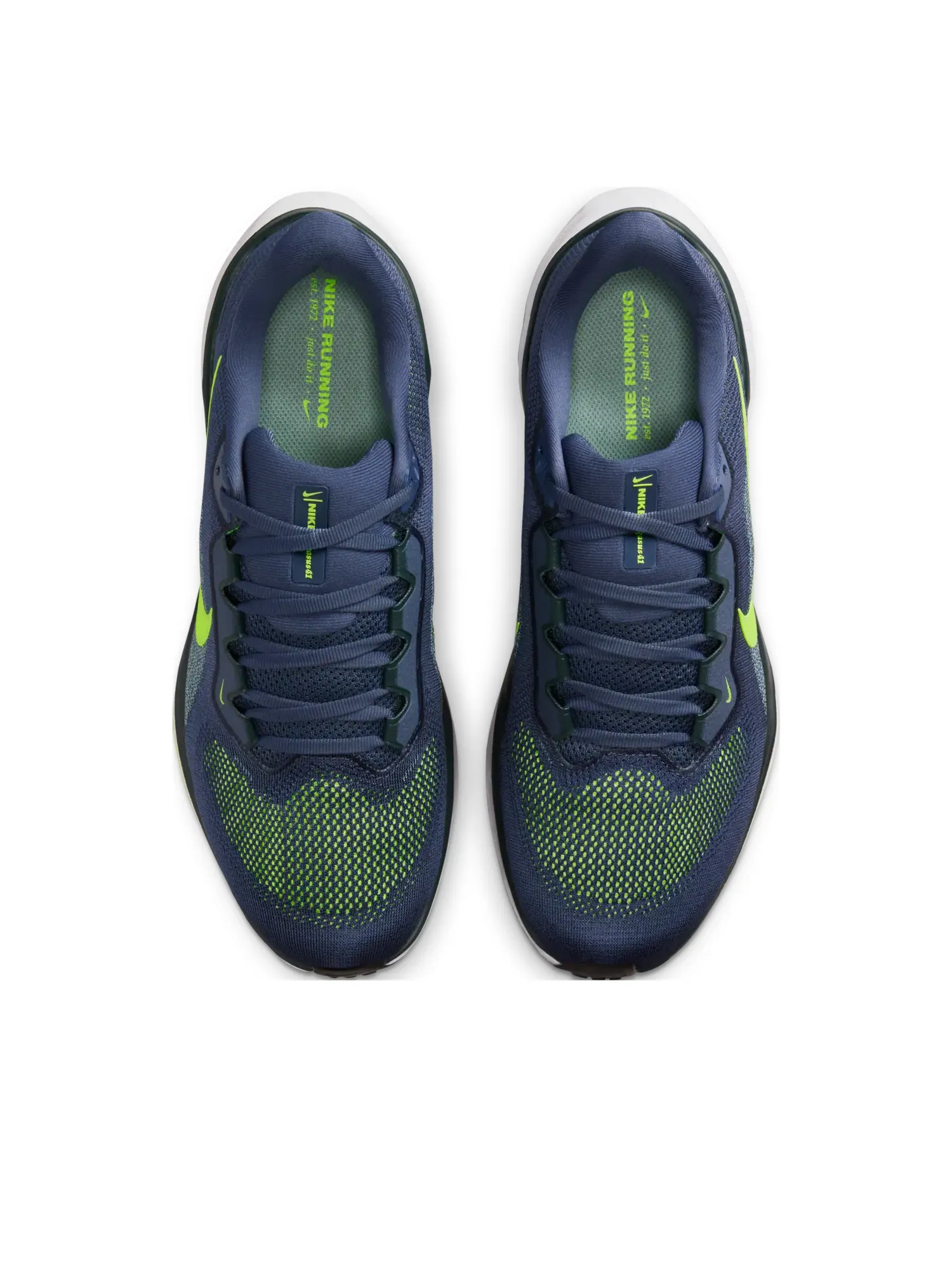Кроссовки Nike Air Zoom Pegasus 41 'Sanded Purple Seaweed Volt' — изображение 2 из 6, черный