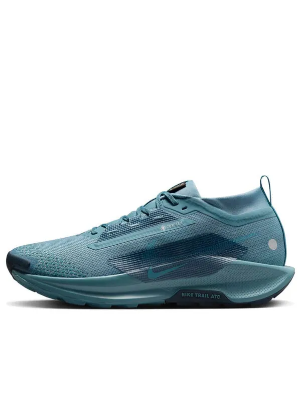 Кроссовки pegasus trail 5 gore-tex 'smokey blue armory navy' Nike — изображение 1 из 4