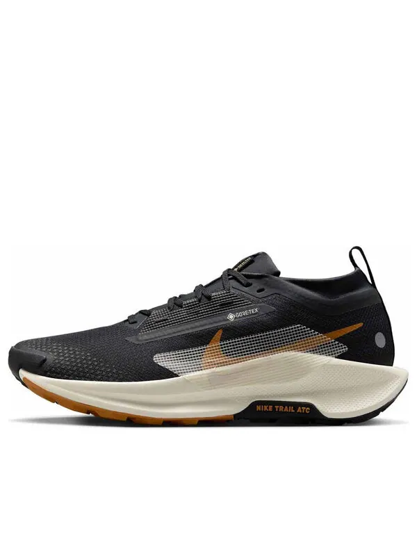 Кроссовки pegasus trail 5 gore-tex 'off noir black monarch pale ivory' Nike — изображение 1 из 4
