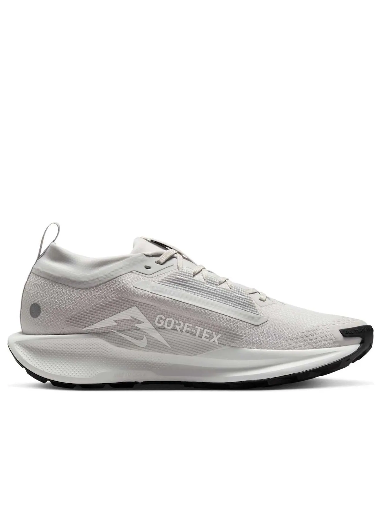 Кроссовки Nike Pegasus Trail 5 Gore-Tex 'Vast Grey Sanddrift' — изображение 2 из 6, серый