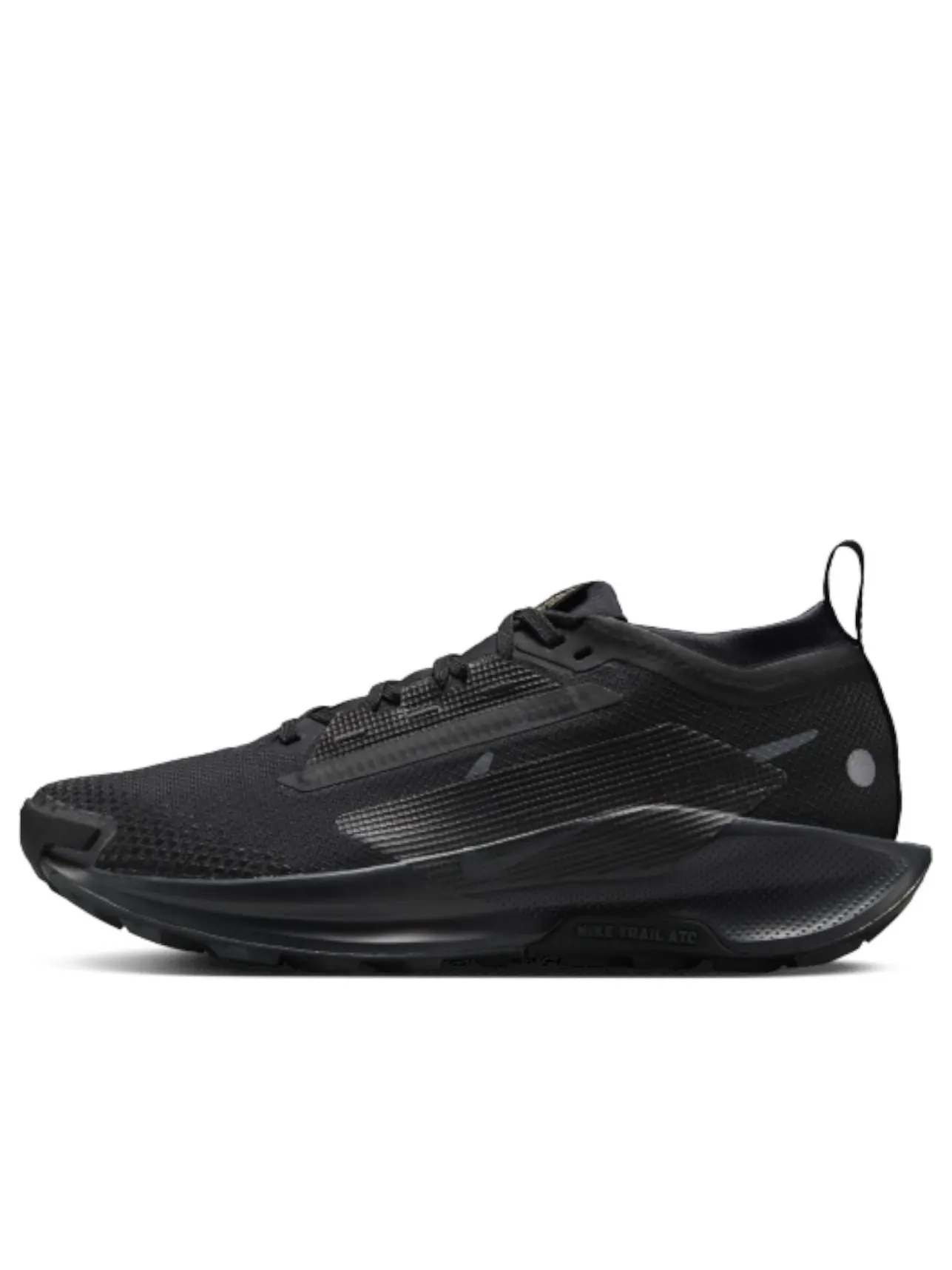 Кроссовки (WMNS) Nike Pegasus Trail 5 Gore-Tex 'Black Anthracite' — изображение 1 из 5, черный