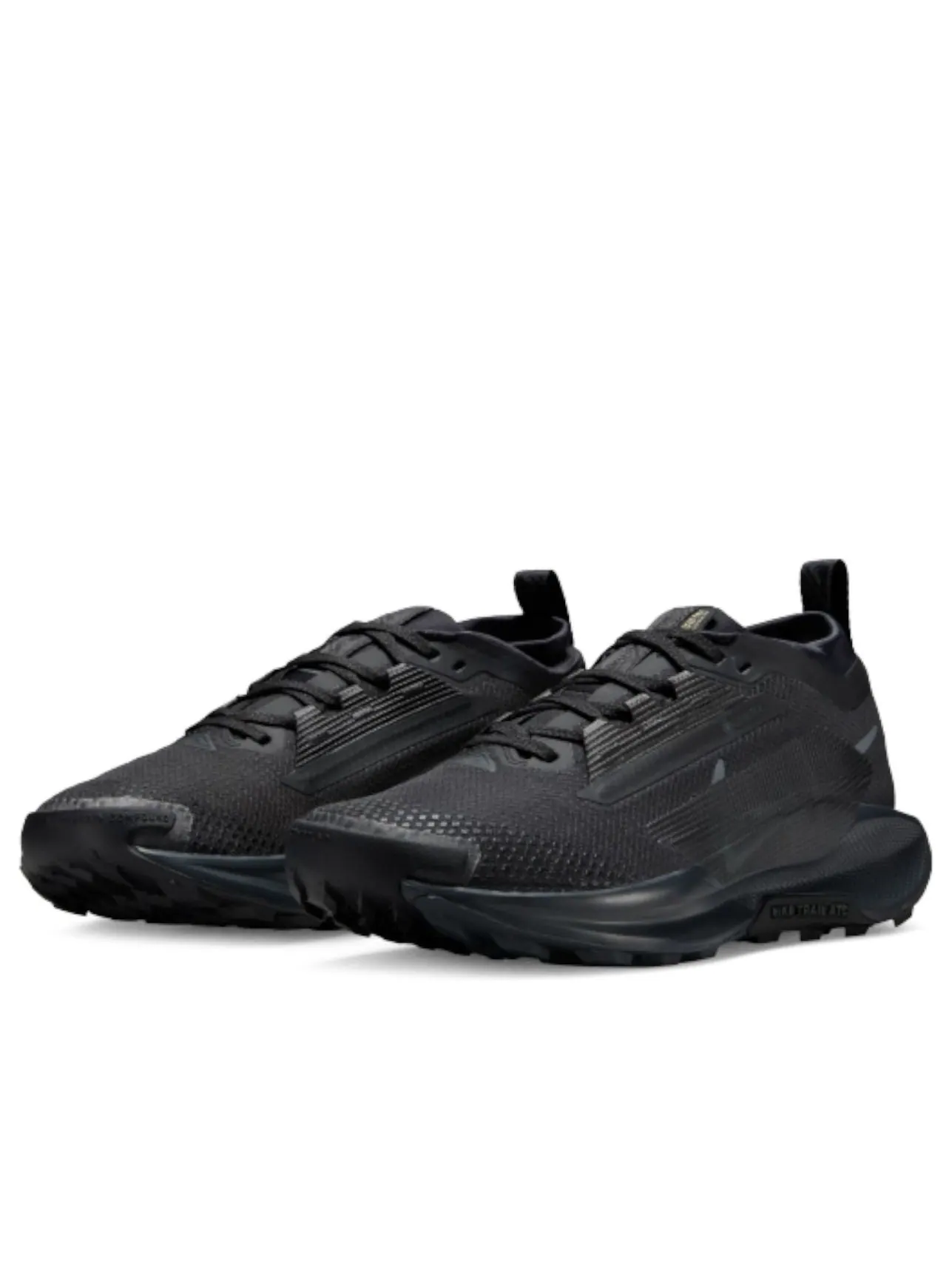 Кроссовки (WMNS) Nike Pegasus Trail 5 Gore-Tex 'Black Anthracite' — изображение 2 из 5, черный