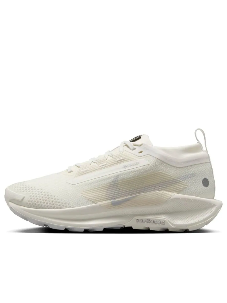 Кроссовки (WMNS) Nike Pegasus Trail 5 Gore-Tex 'Sail Photon Dust' — изображение 1 из 5, белый