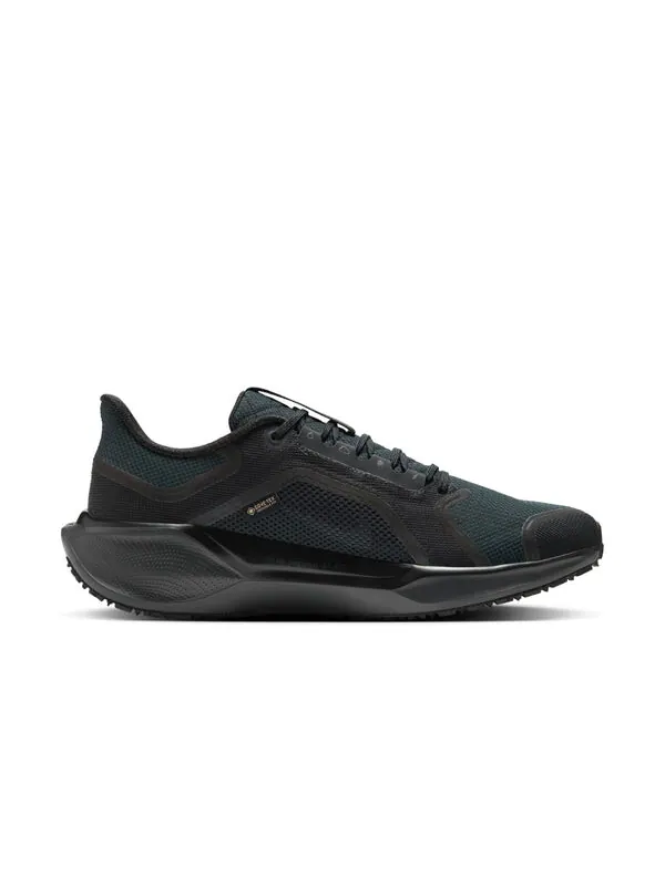 Кроссовки пегас 41 gore tex Nike — изображение 2 из 4, черный/черный
