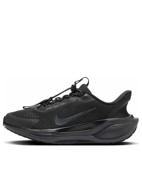 Кроссовки pegasus easyon 'black anthracite' Nike — изображение 1 из 4, черный