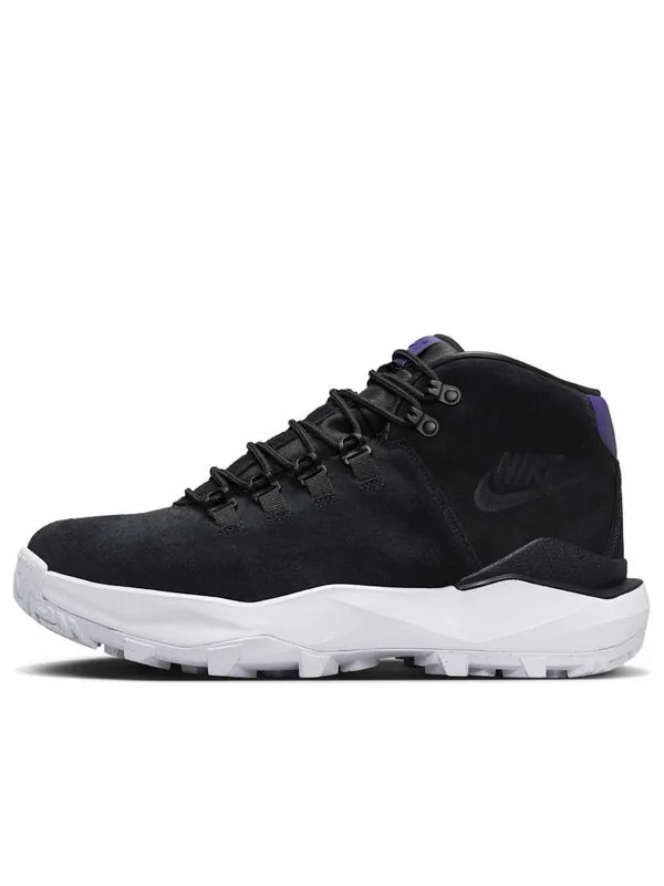 Кроссовки cygnal 'black court purple' Nike — изображение 1 из 4, черный/фиолетовый