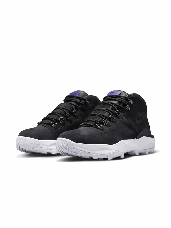 Кроссовки cygnal 'black court purple' Nike — изображение 3 из 4, черный/фиолетовый