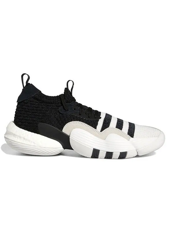 Кроссовки trae young 2.0 баскетбольные кроссовки Adidas — изображение 2 из 4, черный/белый