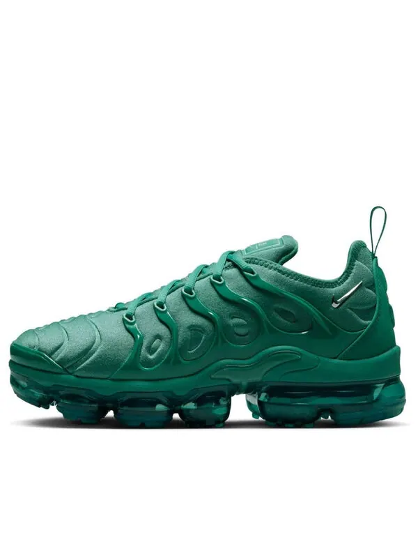 Кроссовки air vapormax plus 'bicoastal' Nike — изображение 1 из 4, металлик серебристый