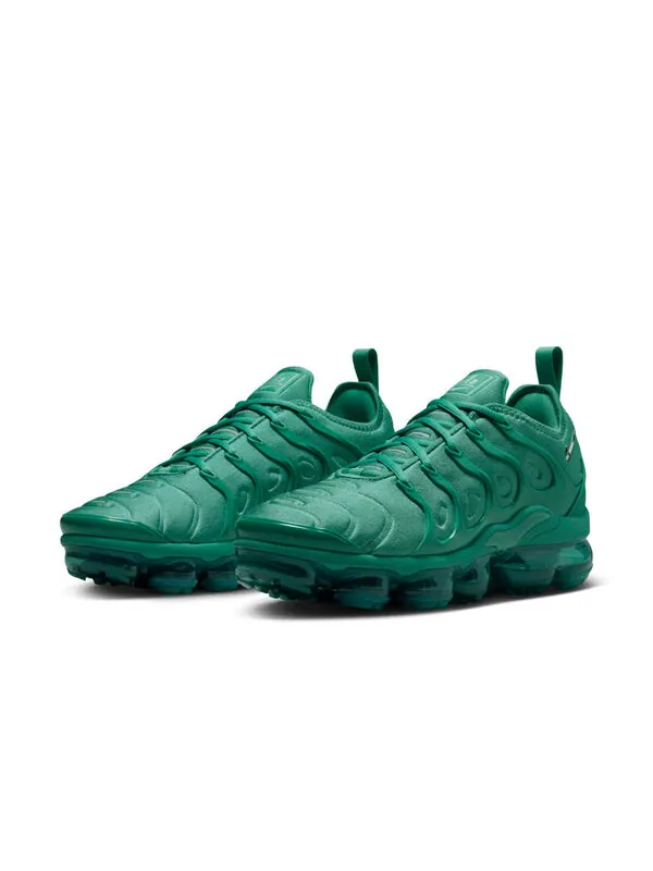 Кроссовки air vapormax plus 'bicoastal' Nike — изображение 3 из 4, металлик серебристый