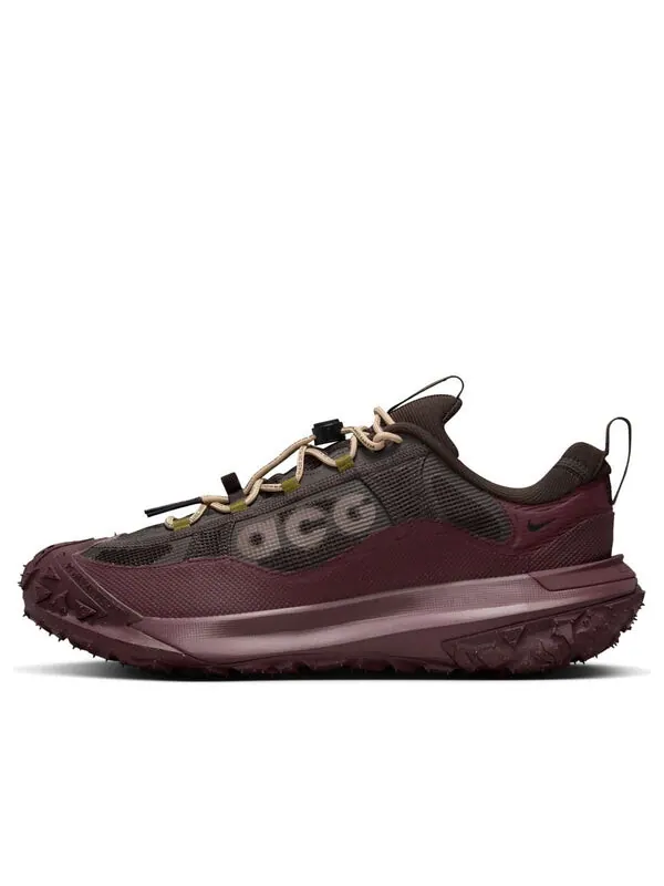 Кроссовки Nike ACG Mountain Fly 2 Low GTX — изображение 1 из 4, коричневый/бордовый