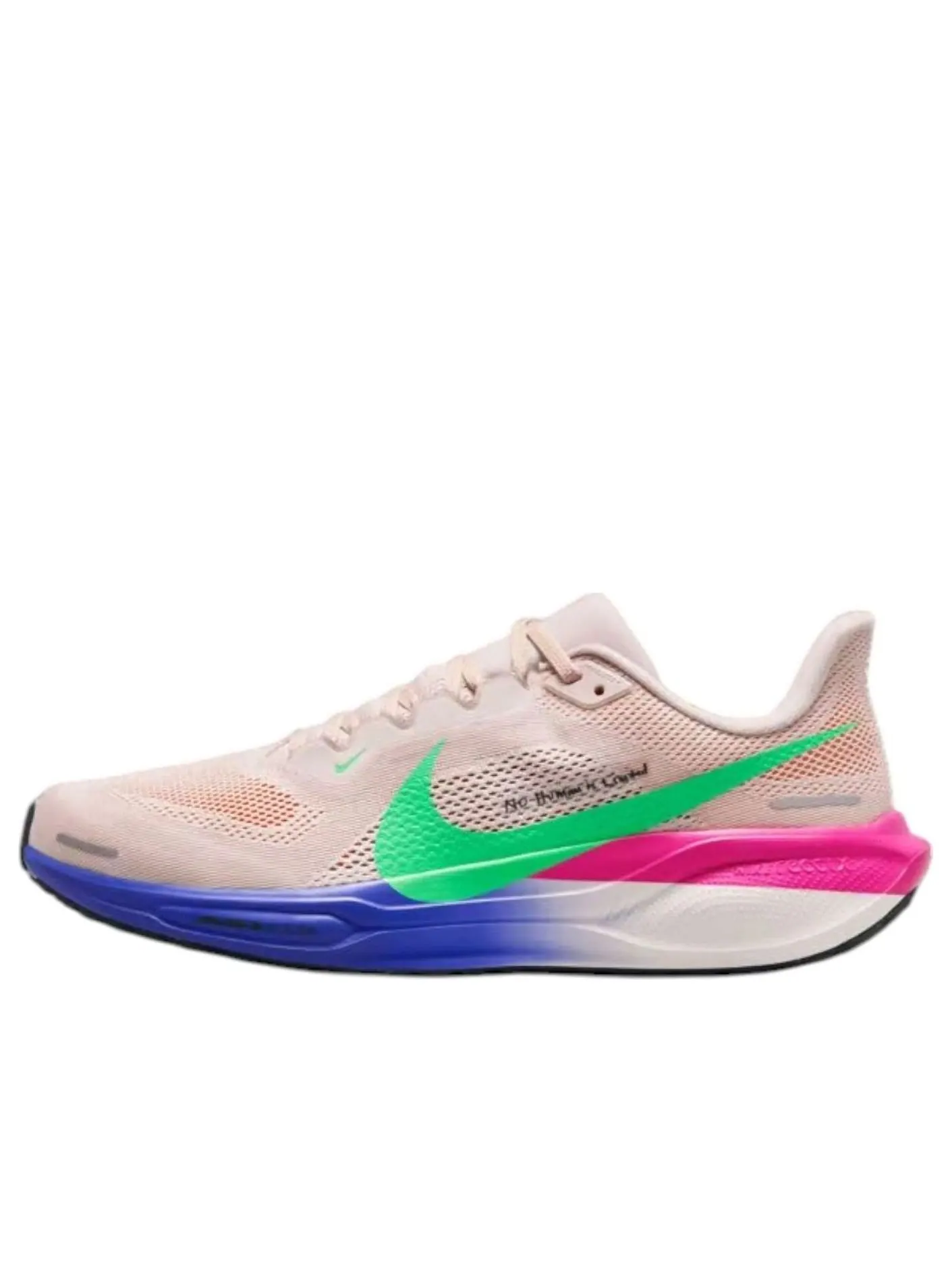 Кроссовки Nike x Eliud Kipchoge No Human is Limited Air Zoom Pegasus 41 'Multi-Color' — изображение 1 из 6, мульти