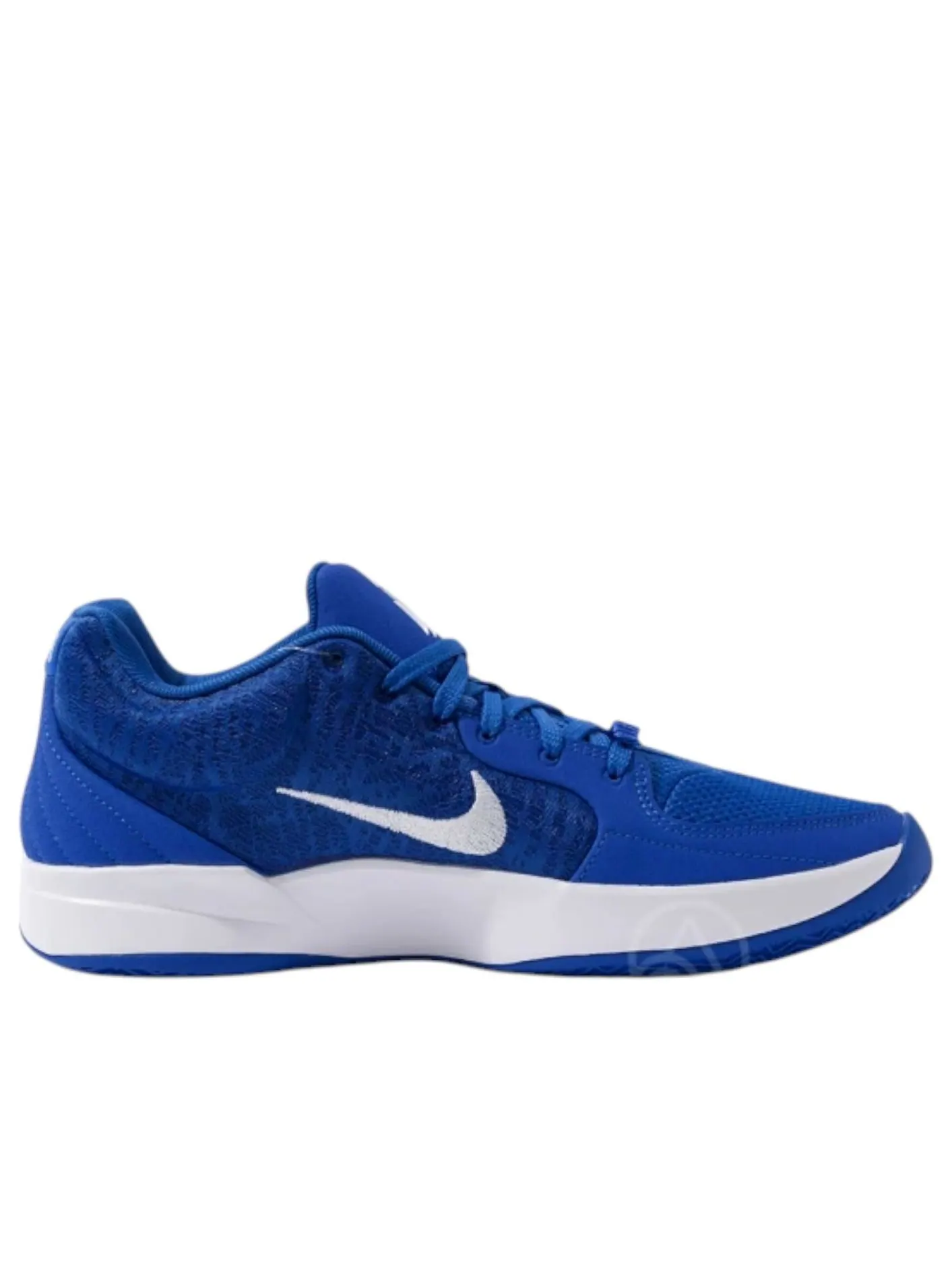 Nike Ja 2 Team Bank EP 'Blue White' — изображение 4 из 5, черный/белый