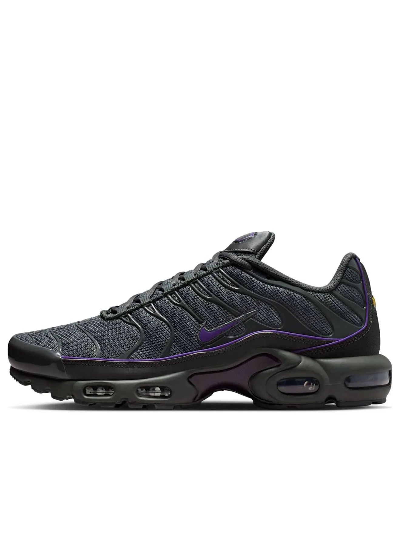 Nike Air Max Plus 'Iron Grey Wild Grape' — изображение 1 из 6, серый