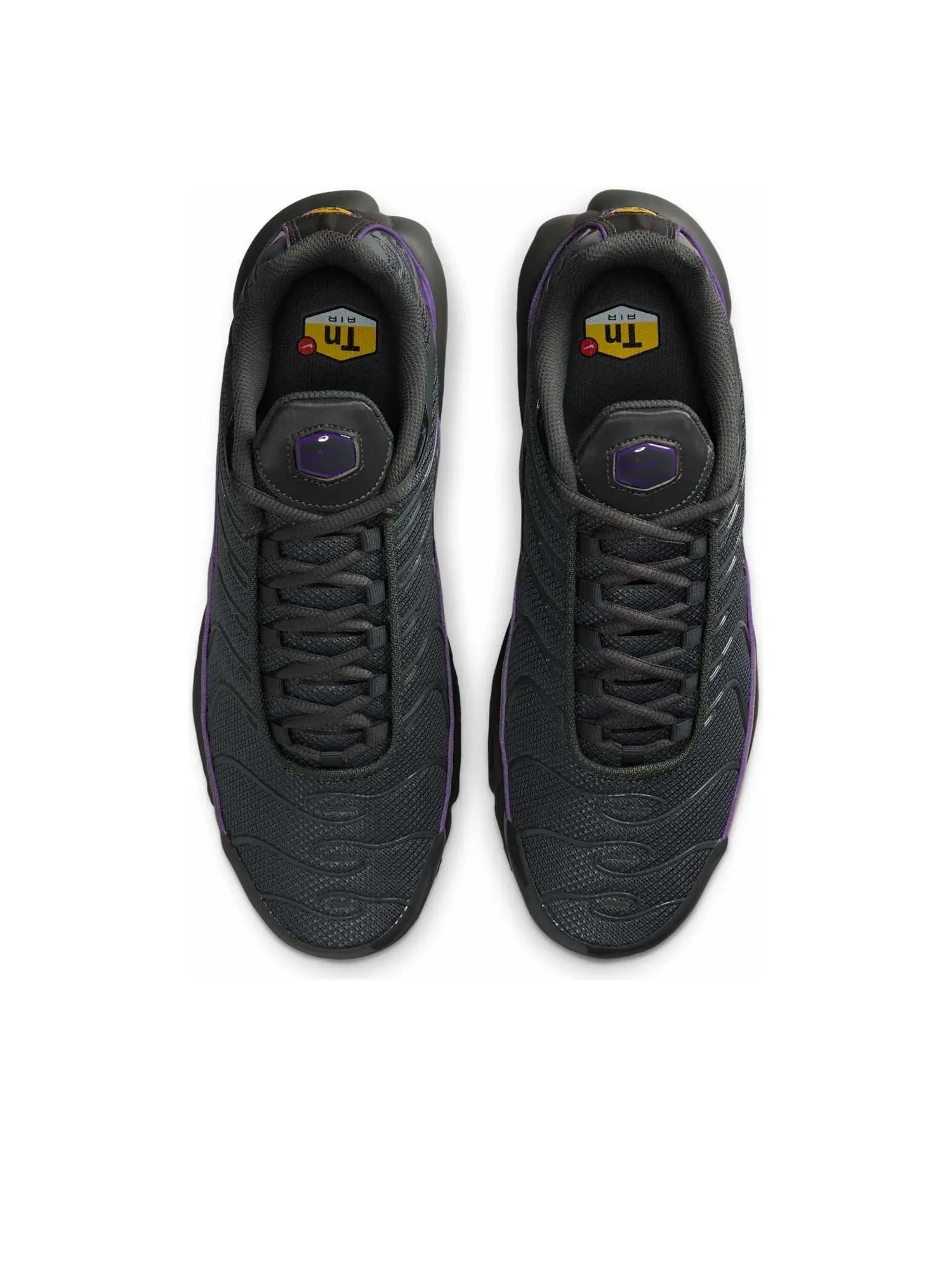 Nike Air Max Plus 'Iron Grey Wild Grape' — изображение 2 из 6, серый