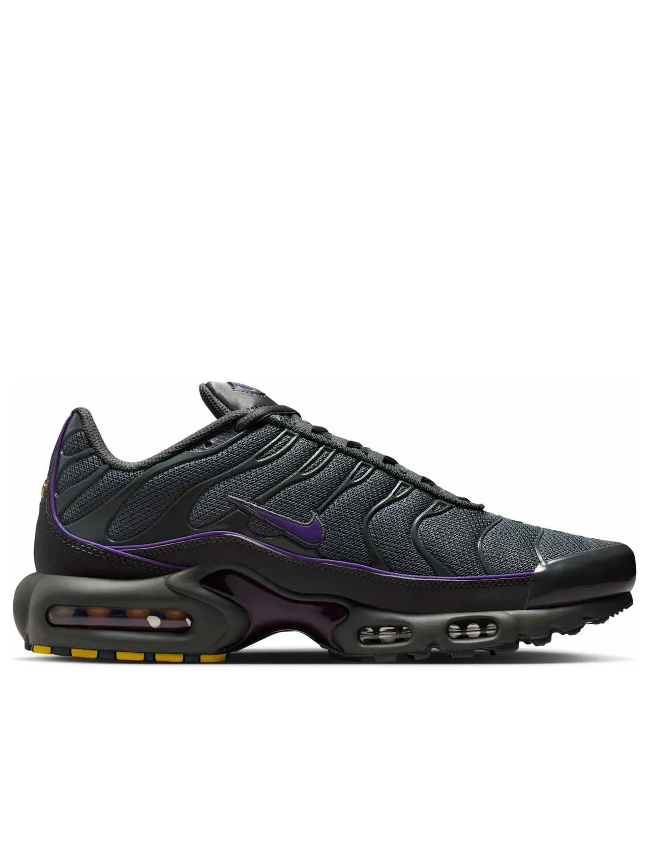 Nike Air Max Plus 'Iron Grey Wild Grape' — изображение 6 из 6, серый