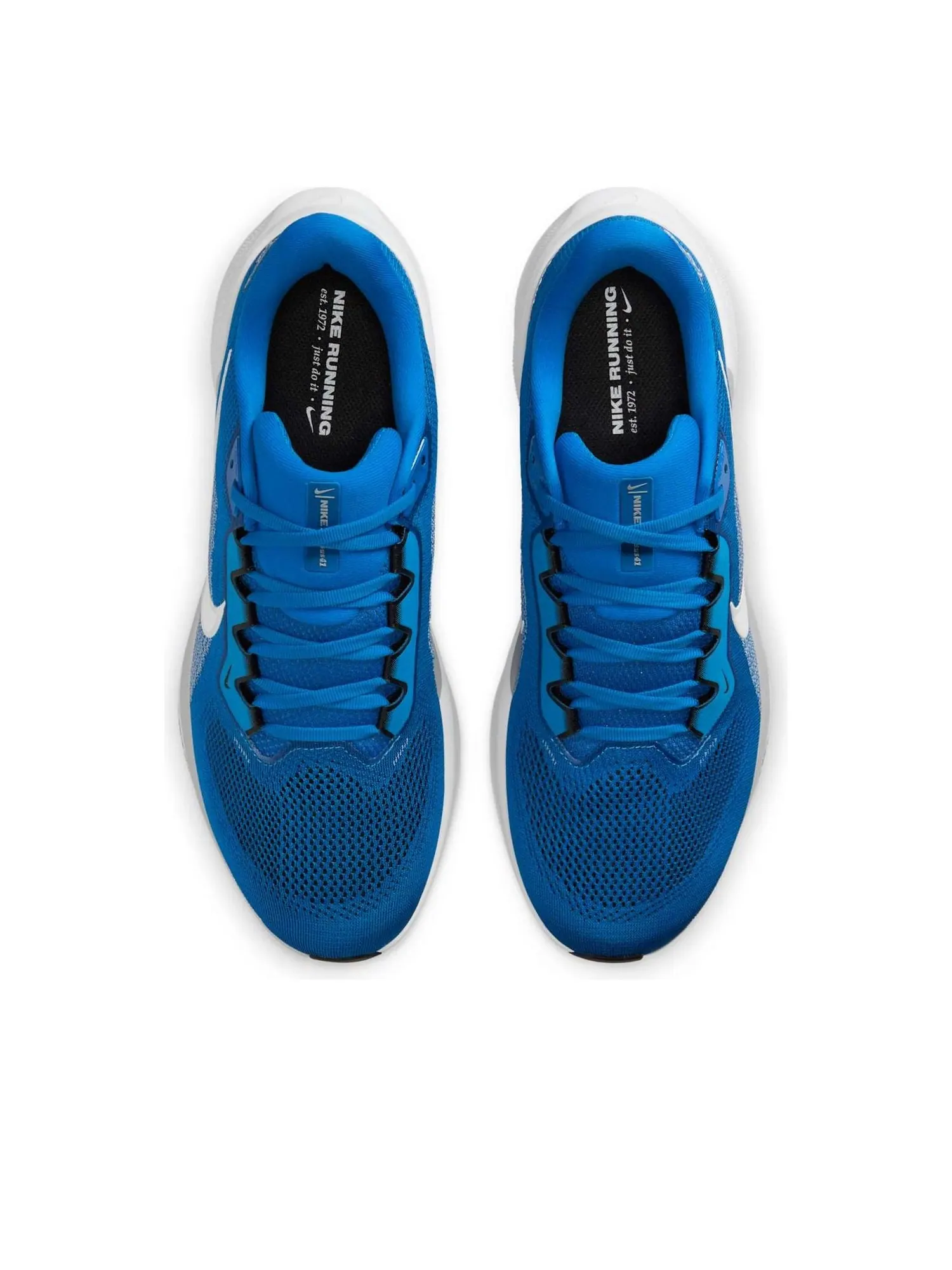 Кроссовки Nike Pegasus 41 NFL 'Detroit Lions' — изображение 2 из 6, синий/черный/серый