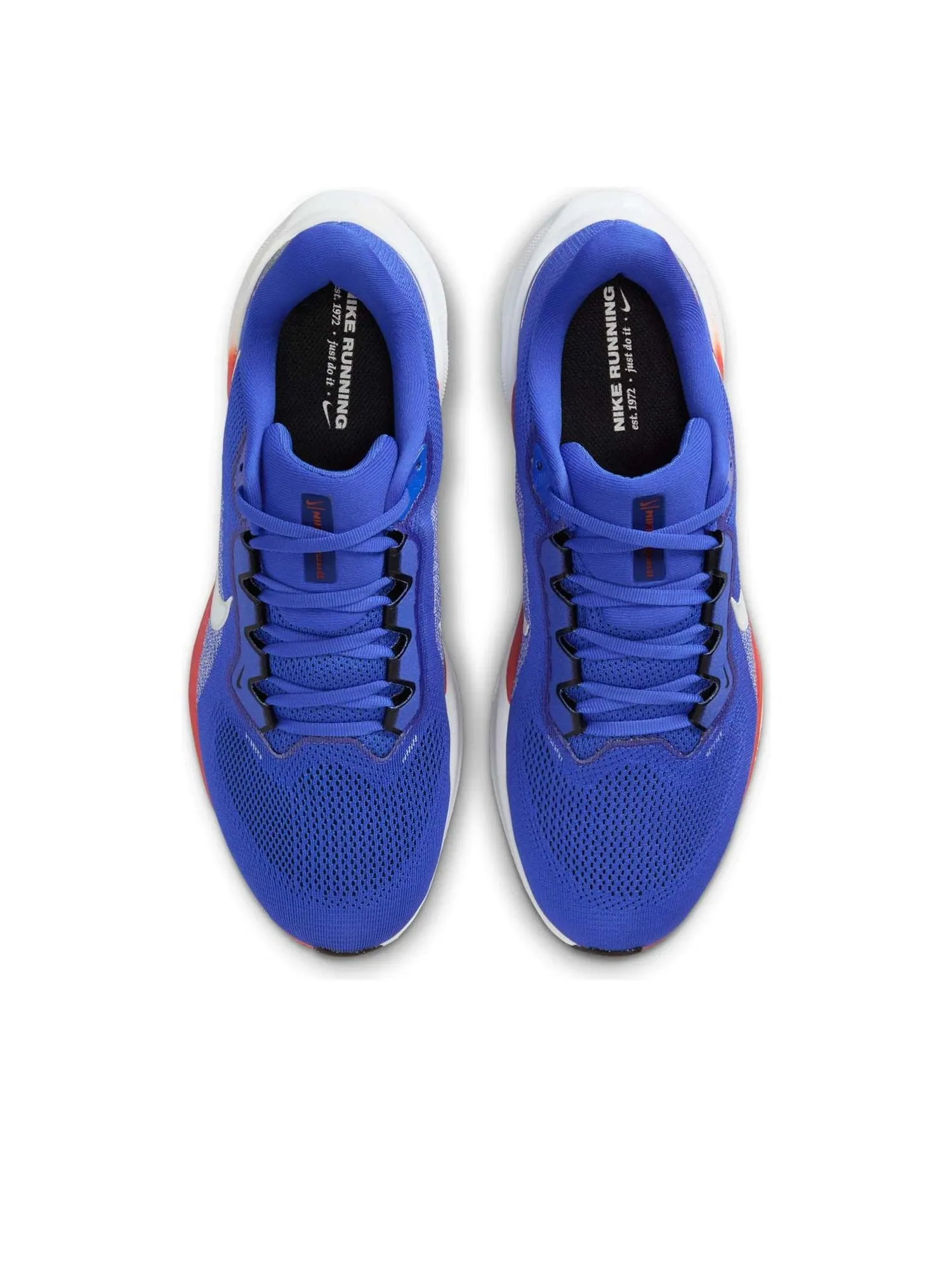 Кроссовки Nike x NCAA Pegasus 41 'UF' — изображение 2 из 6, синий