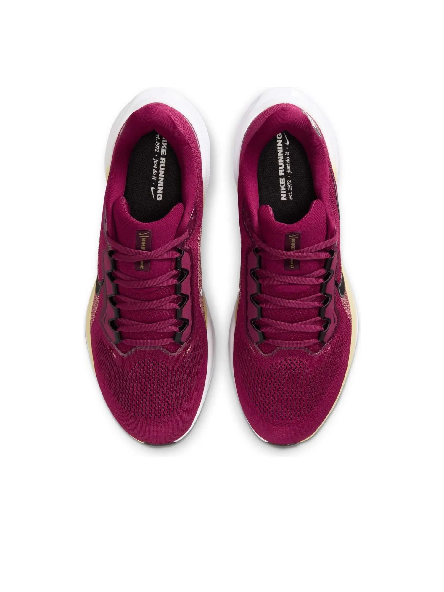 Кроссовки Nike x NCAA Pegasus 41 'FSU' — изображение 2 из 6, красный