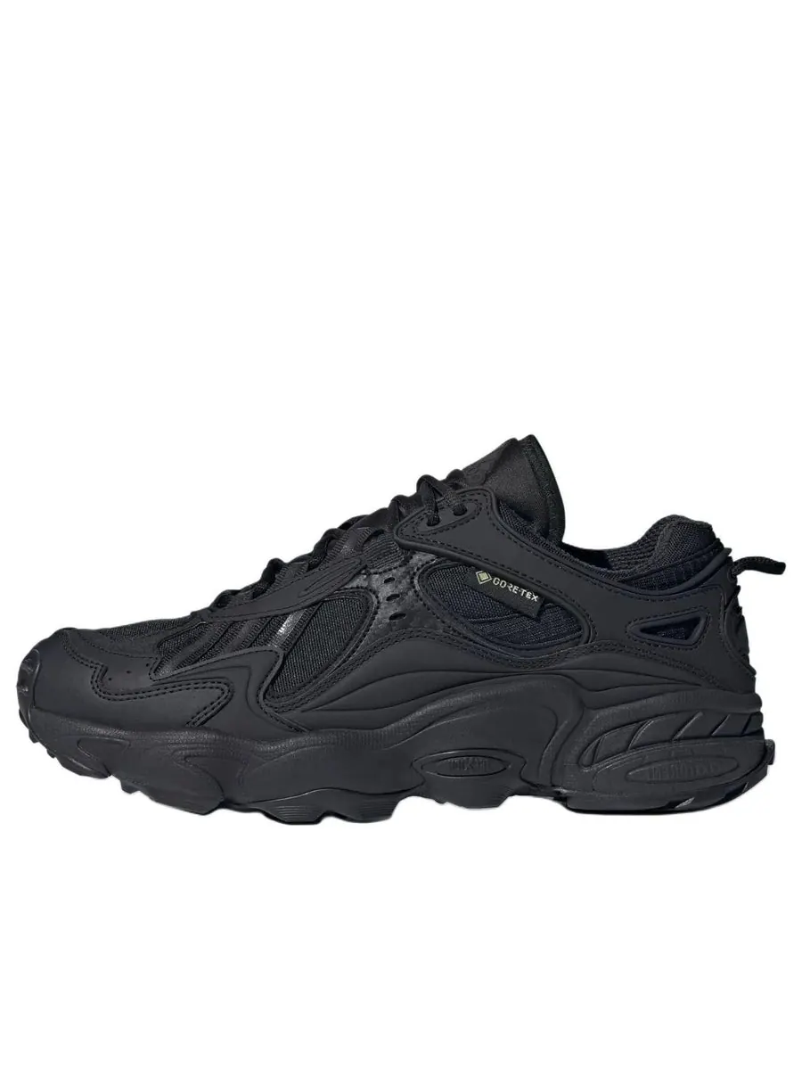 Кроссовки adidas Cadiant FYW Gore-Tex 'Core Black Cloud White' — изображение 1 из 5, черный