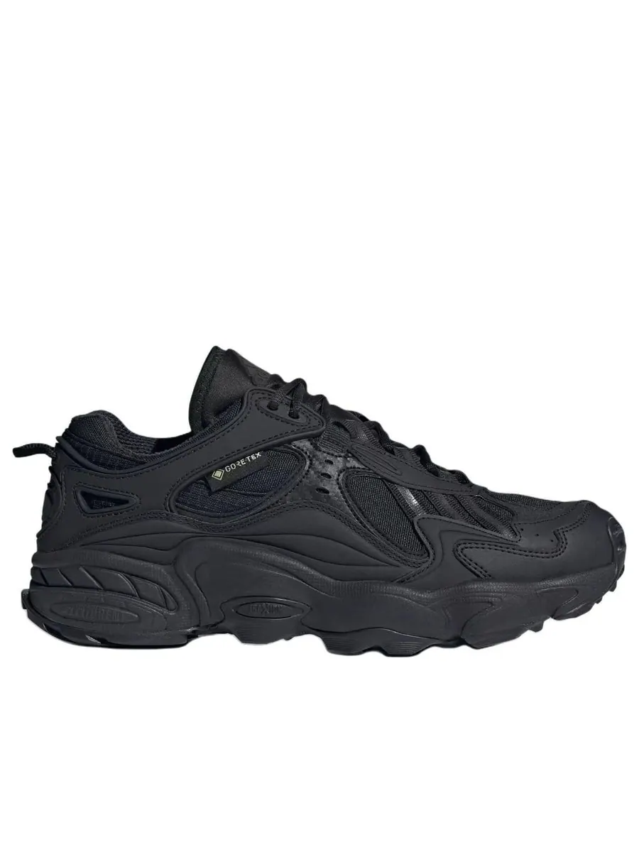 Кроссовки adidas Cadiant FYW Gore-Tex 'Core Black Cloud White' — изображение 2 из 5, черный