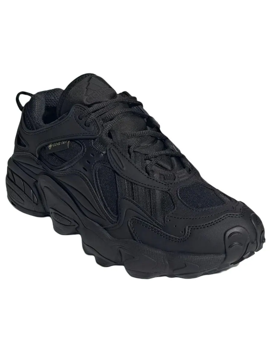 Кроссовки adidas Cadiant FYW Gore-Tex 'Core Black Cloud White' — изображение 3 из 5, черный